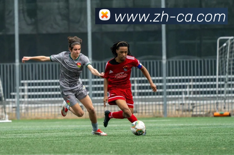 世界杯官网登录app平台生态图